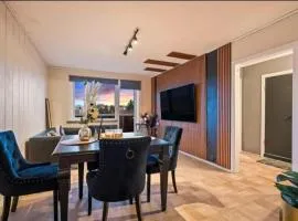 Top floor Helsfyr city central apartment