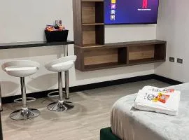 Apartaestudio moderno en el centro de la ciudad