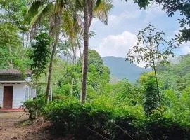 County House, Kithulgala