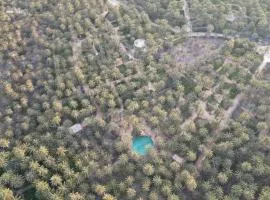 Coco Oasis Resort Camping Maison d hotes