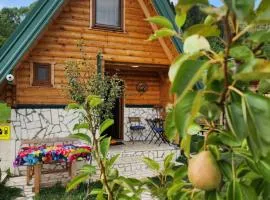 Princess Jana Apartments