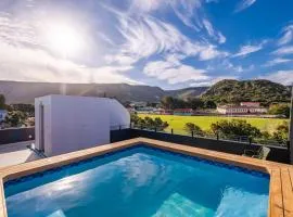 Whale Melody Hermanus