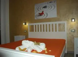 B&B Aurora