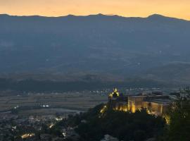 Family House, ξενοδοχείο στο Αργυρόκαστρο