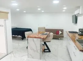 Acogedor monoambiente de patio interno