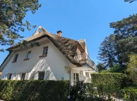 Schwalbennest