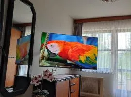 Appartement Sonja Nassfeld