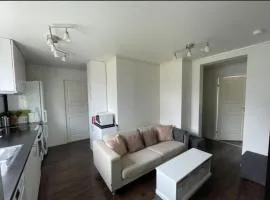 Alfred Apartment in Trondheim