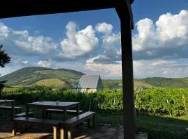 Csernus Doki bor-grillterasza és bungallói