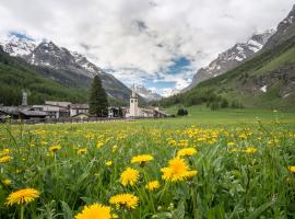 Case Gran Paradiso Rhemes Notre Dame, hotel v destinaci Rhemes-Notre-Dame