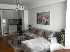 Skopje Stefanovi apartments
