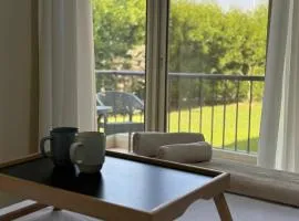 Zayed Elite Retreat pool, garden & breeze