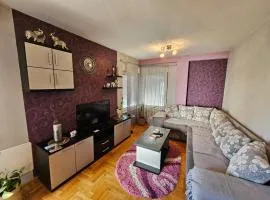 Apartman Glavna