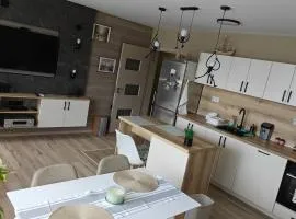 Luxury new apartment