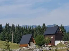 Village house Popovic