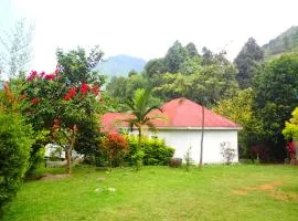 Summit Guesthouse