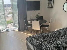 Modern 1-room apartment