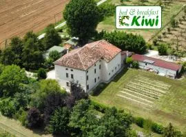 B&B Kiwi