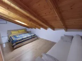 Stone Guesthouse Kajo Roshnik