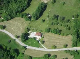 Apartment Zadraga