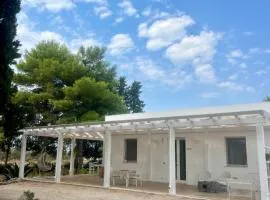 Arneo Rooms
