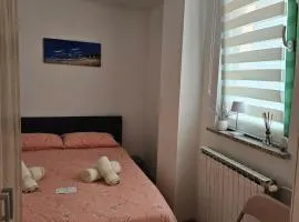 Apartment Center Koper