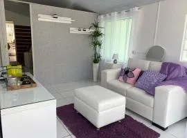 Studio Central Anitápolis
