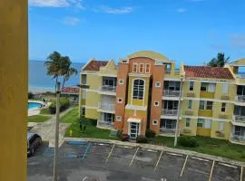 Beach Front Penthouse