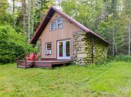10 Mi to Gore Mountain! Pet-Friendly Cabin