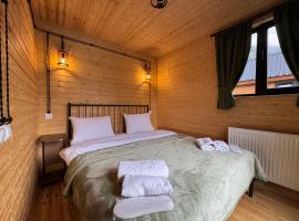 Oto Twins Cottages, chata v destinaci Stepancminda