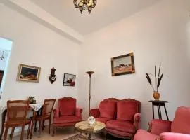 Antique style apartment in the City and Free Parking