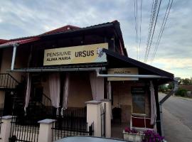 Pensiunea Alina-Maria、Vîrfurileのペット同伴可ホテル