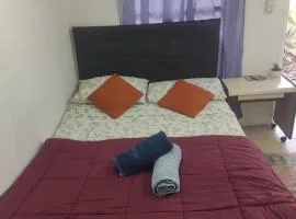 Amanecer Campestre bajo el Ceibo