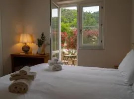 Torre de Jaco - Wellness Inn