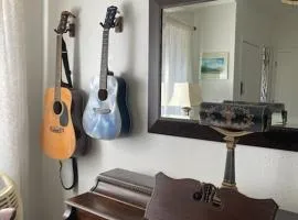 Sunny and Spacious, Hottub, Piano, Guitars, Fenced Yard, Pets Welcome, LGBT Friendly