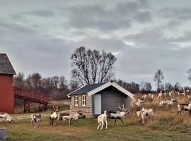 Stenli Retro Guesthouse, Hotel in Bævkopp