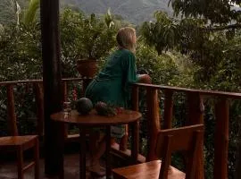 Kailash Lodge