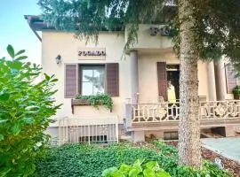 Fészek Fogadó - Pension Nest