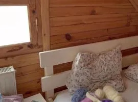 Wooden House