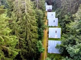 Hütte Tannengrün - Ruheort mitten im Wald