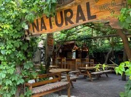 Olympos Natural Pansiyon