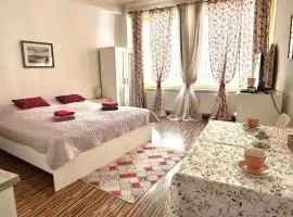 Prague Old Town Apartment Benediktska 6