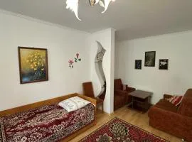 Затишна 1 кімнатна квартира Трускавець