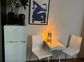 Super central studio apartment