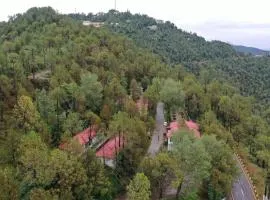Blue Pines Resort & Restaurant, Murree