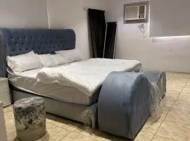 استديو الضباب