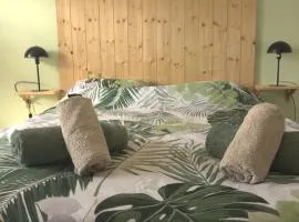 Très bel appartement au cœur des Vosges