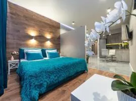Studio Smart plaza Obolon 63