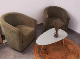 Le grand appartement, parking privé