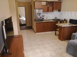 Apartamento de 1 habitación en planta baja